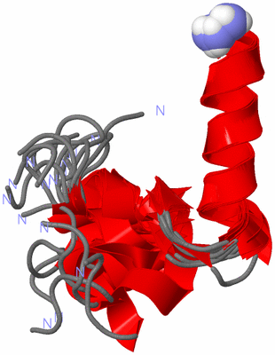 Image NMR Structure - all models